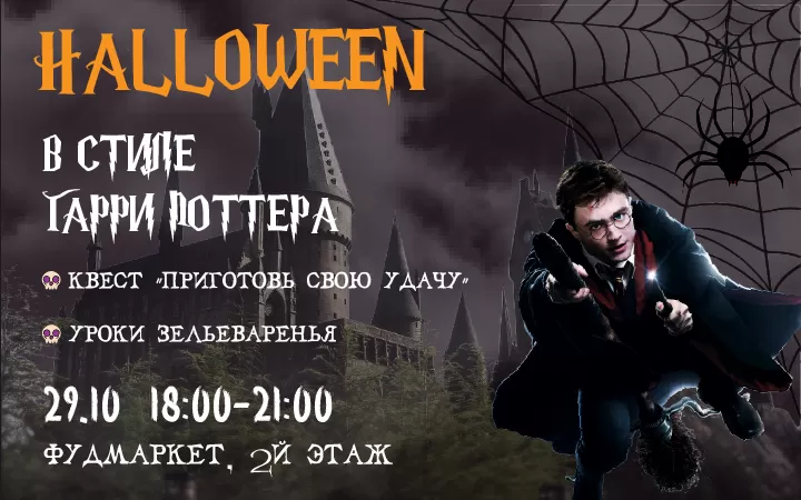 Гарри Поттер в Вилке fun