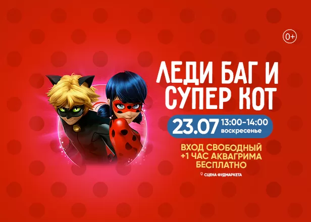 ЛЕДИ БАГ И СУПЕР КОТ!