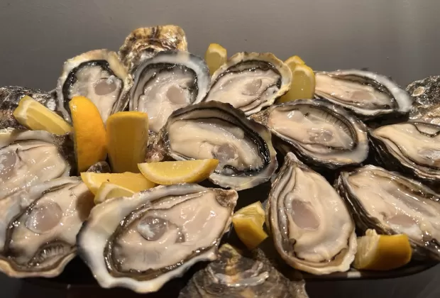 OYSTERS
