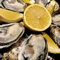 OYSTERS