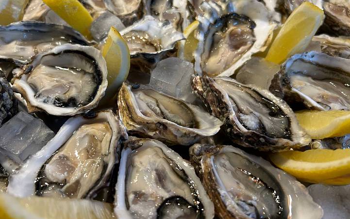 OYSTERS